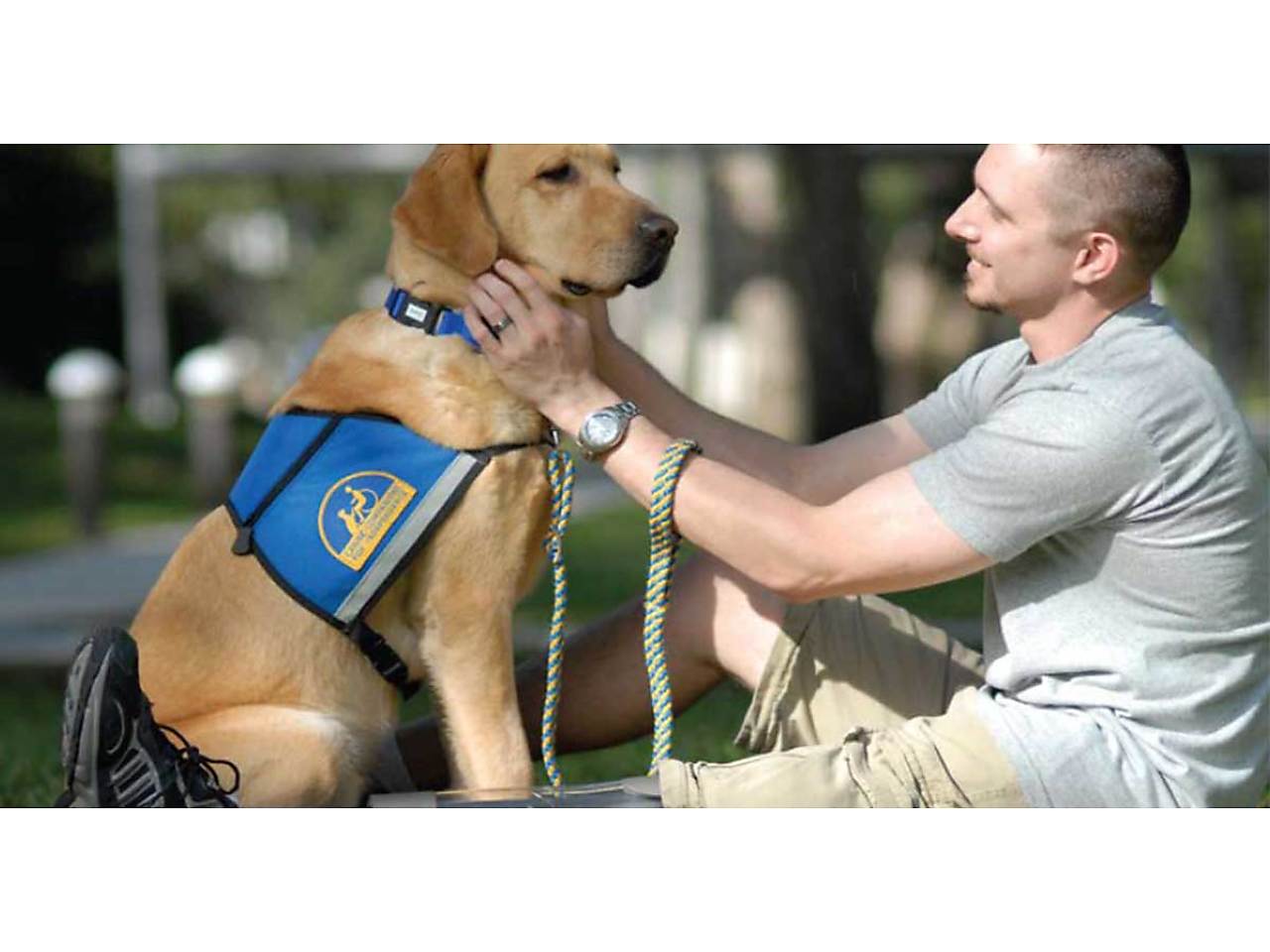 ptsd dpg.jpg - Service dog for Veteran with PTSD image